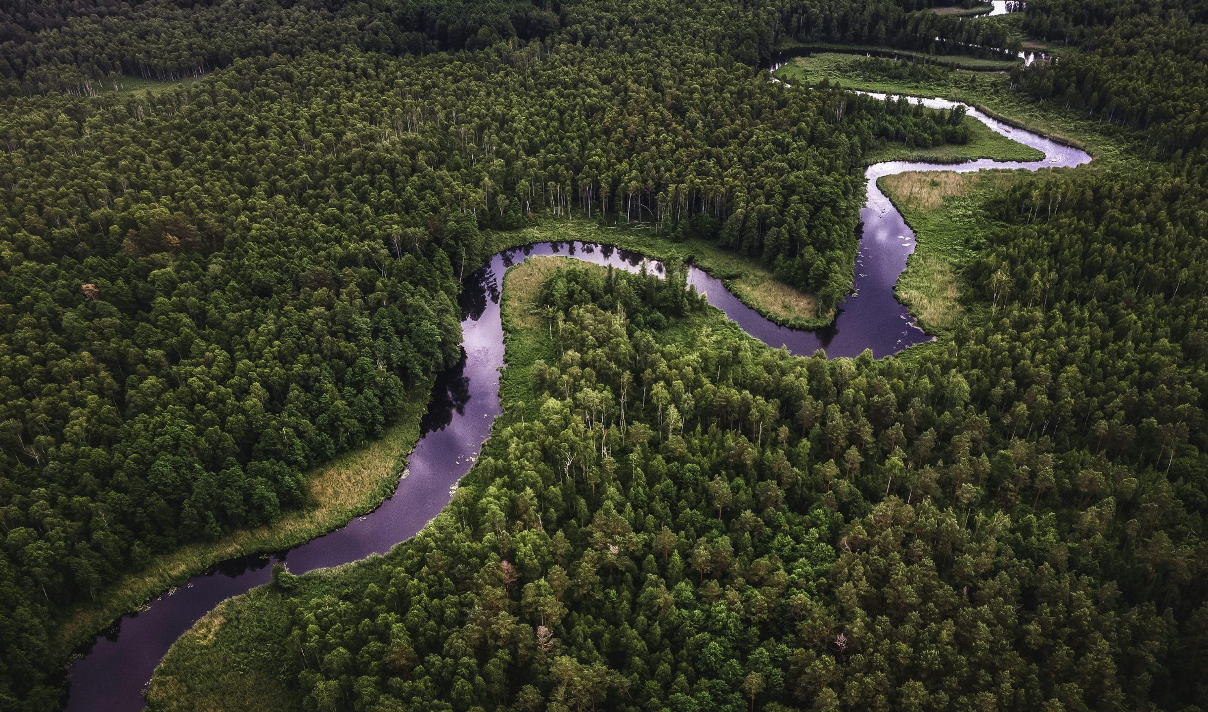 2026-08%20Life%20Cylce%20Wisdom%20winding%20river.jpg
